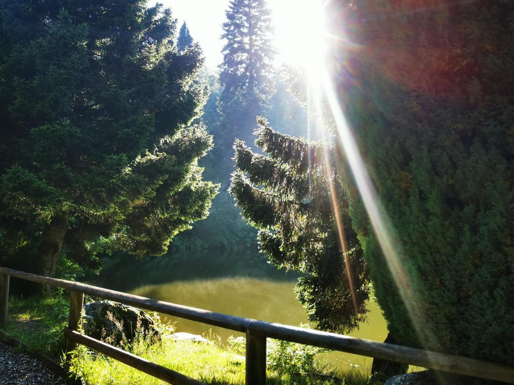 Miuti Residence Triberg im Schwarzwald Dış mekan fotoğraf