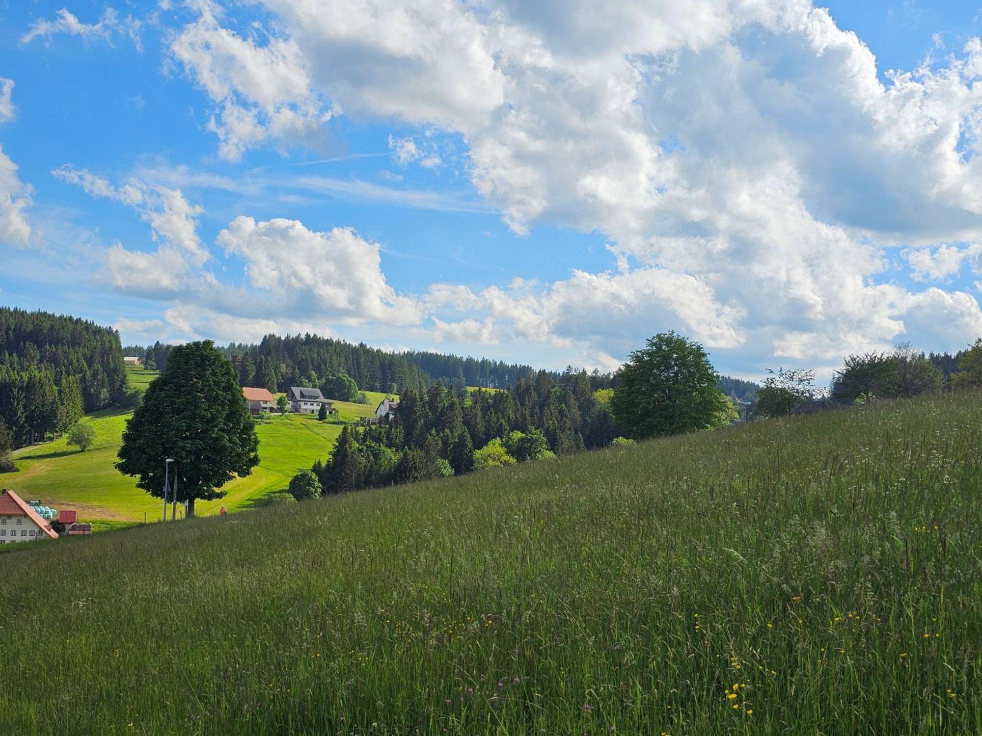 Miuti Residence Triberg im Schwarzwald Dış mekan fotoğraf