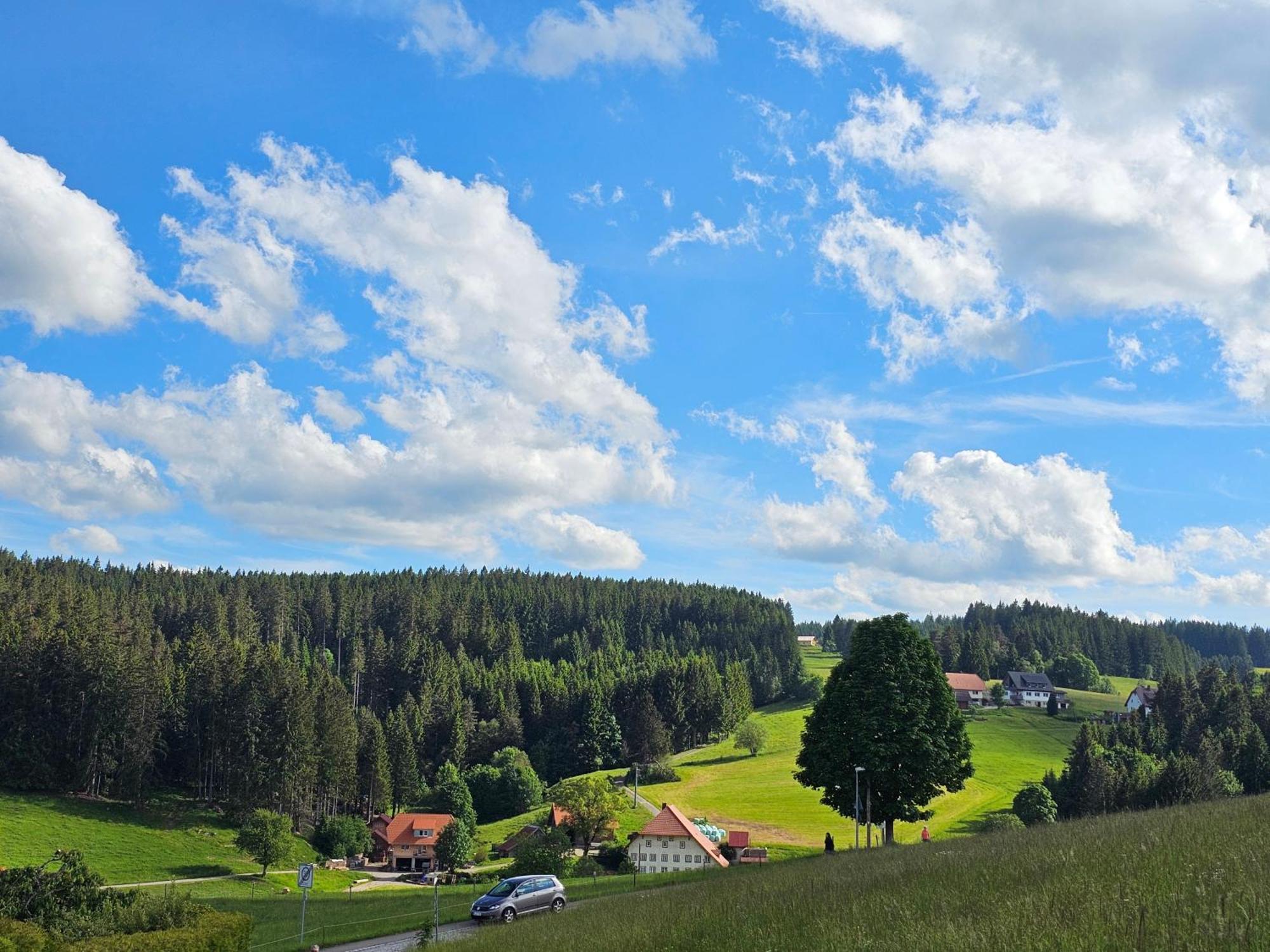 Miuti Residence Triberg im Schwarzwald Dış mekan fotoğraf